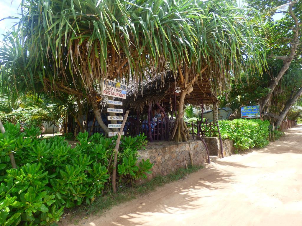טנגלה Chandi Gaya Beach Guesthouse מראה חיצוני תמונה